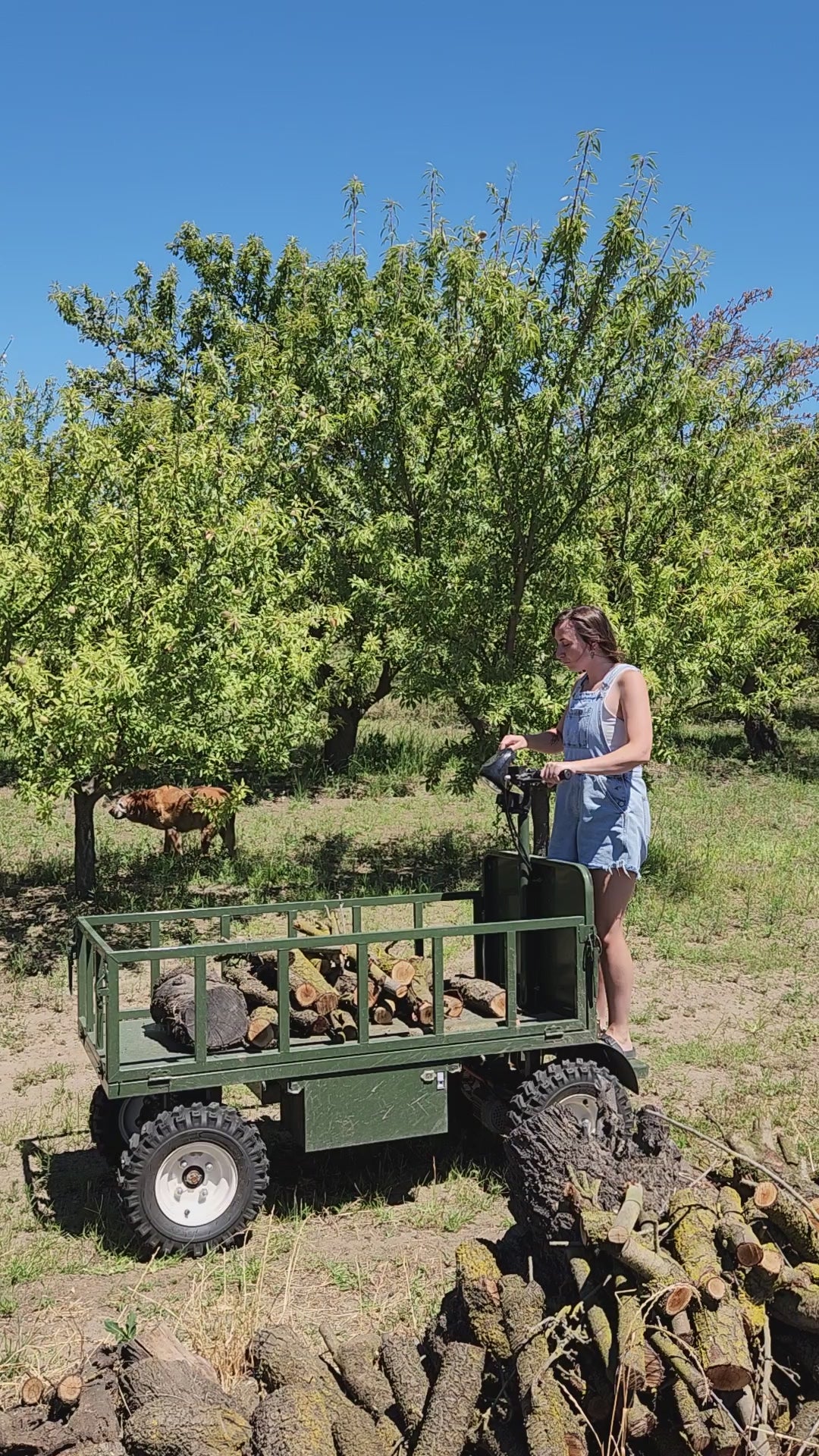 Work Horse Wagon